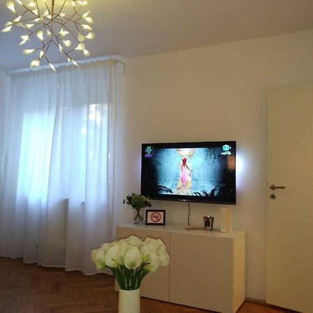 Art & Design Apt - City Center Timisoara Exterior foto