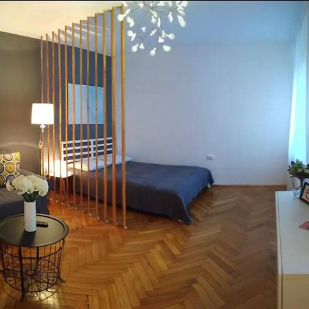 Art & Design Apt - City Center Timisoara Exterior foto