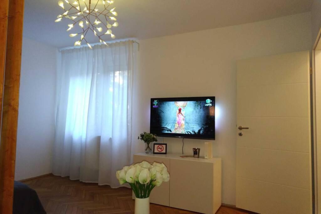 Art & Design Apt - City Center Timisoara Exterior foto